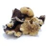 Burmese Magic Mushrooms