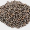 Buy Morning Glory Seeds
